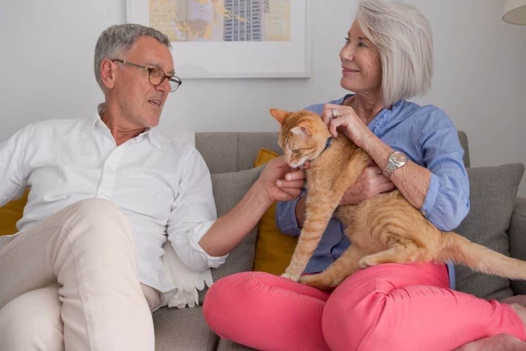 2018-10-cAderalPiot-Montpellier-salon-avec-chat04-1024x683 - Nohée