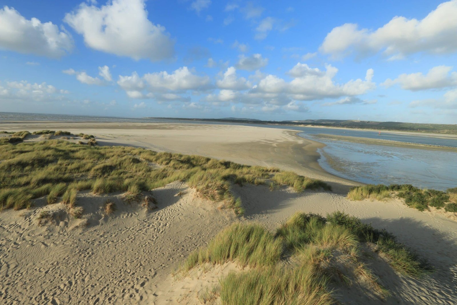 le-touquet-environnement-dunes - Nohée